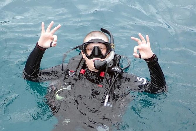 PADI Discover Scuba Diving in Koh Tao - half day and two dives - Where you might see marine life around Koh Tao and Koh Nang Yuan