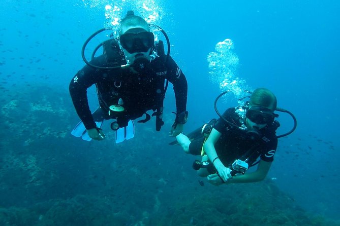 PADI Discover Scuba Diving in Koh Tao - half day and two dives - 10:30 am start at Mae Haad, paperwork first, then you’re off