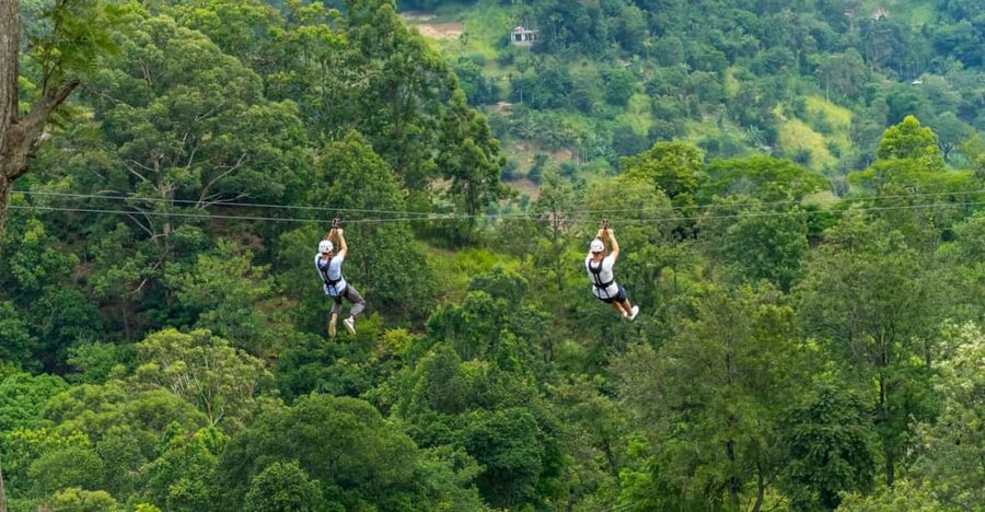 Pai: Jungle Ziplining Adventure with 16 Platforms - Key Things You Should Know Before You Go