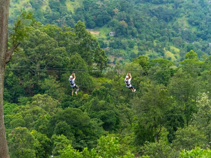 Pai: Jungle Ziplining Adventure with 16 Platforms - From Gear-Up to First Flight: How the 1-Hour Flow Works