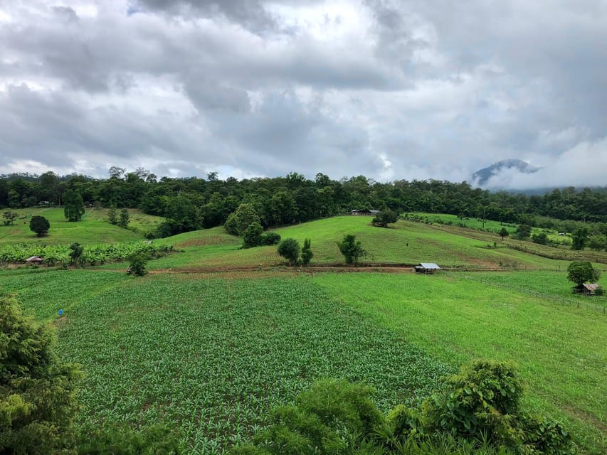Pai: Ultimate Ziplining Adventure through the Jungle - Your 90-Minute Timeline in Plain Terms