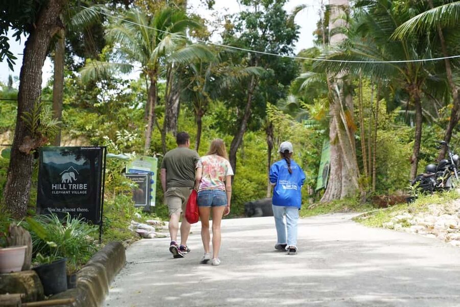 Patong: Elephant Sanctuary Eco Guide Walk & Forage Tour - Should you book the Patong Elephant Sanctuary eco guide walk and forage tour?