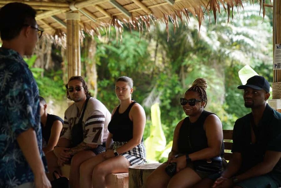 Patong: Elephant Sanctuary Walk Tour with Hotel Transfer - Patong elephant sanctuary walk: what this experience really is