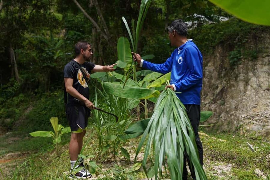 Patong: Elephant Sanctuary Walk Tour with Hotel Transfer - The forest walk alongside elephants: what you will see and why it matters