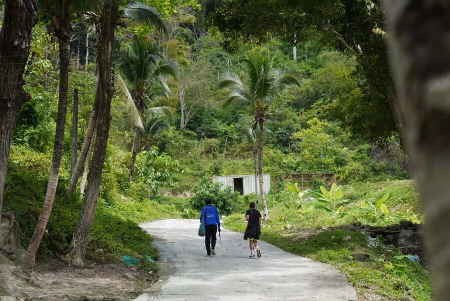 Patong: Elephant Sanctuary Walk Tour with Hotel Transfer - Feeding prep in the sanctuary farm: your banana tree and grass moment