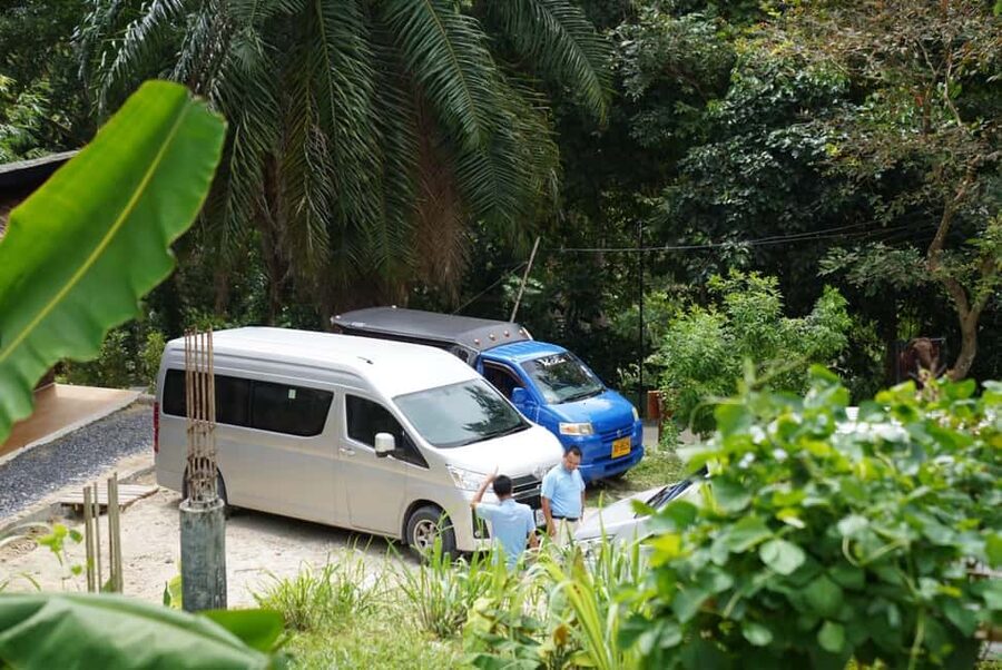 Patong: Elephant Sanctuary Walk Tour with Hotel Transfer - Before you go: rules, gear, and the pace you should expect