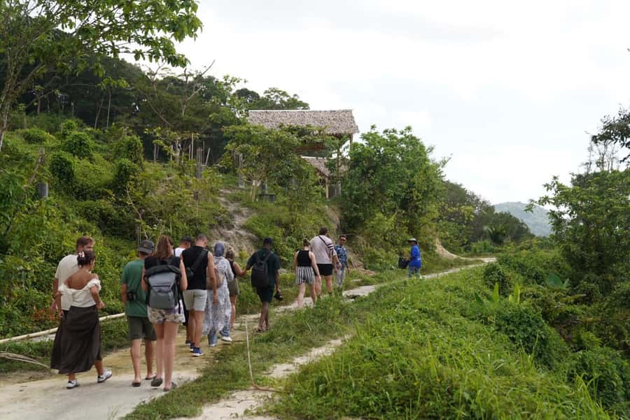 Patong Highlights: Elephant Sanctuary Tour with Transfer - Patong’s Elephant Day Trip, Without The Circus Vibe