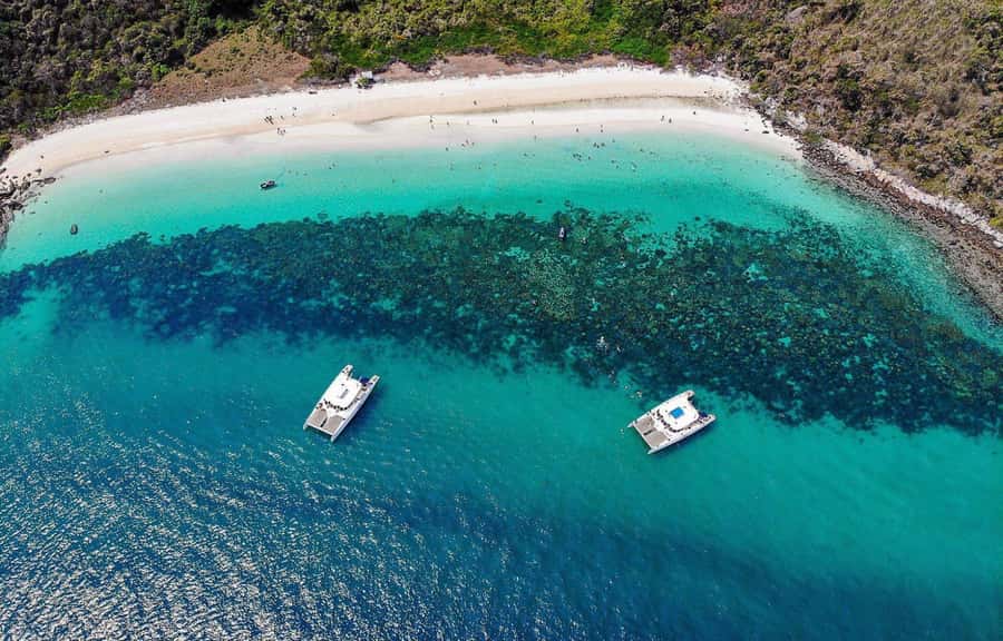 Pattaya: 3 Islands Day Tour on Catamaran with Buffet Lunch - Key things I’d zero in on before you book