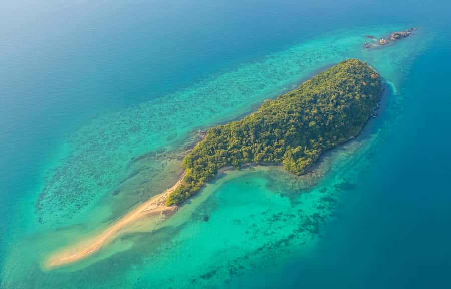 Pattaya: 3 Islands Day Tour on Catamaran with Buffet Lunch - Price and value at about $109 per person