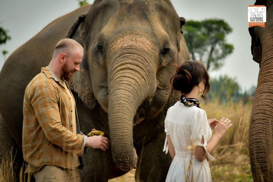 Pattaya: Elephant Jungle Sanctuary Feeding Experience - Key Things That Make This Elephant Feeding Visit Work