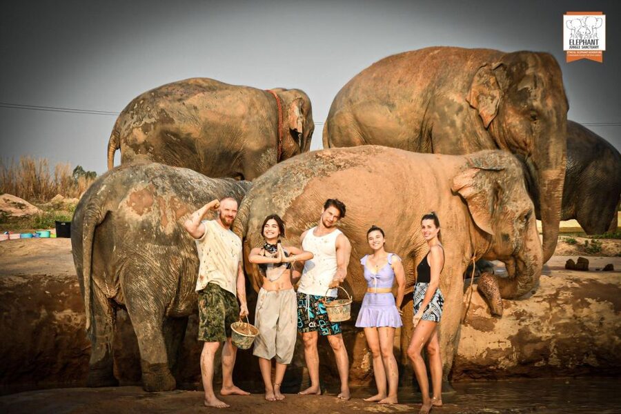 Pattaya: Elephant Jungle Sanctuary Feeding Experience - The Guide Factor: What You Will Learn While You Are Feeding