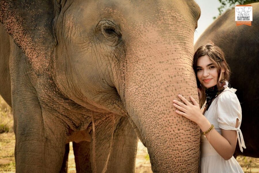 Pattaya: Elephant Jungle Sanctuary Feeding Experience - Duration and Timing: Picking the Right Feeding Slot