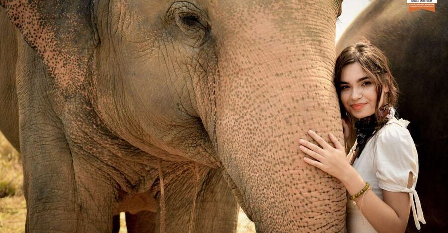 Pattaya: Elephant Jungle Sanctuary Feeding Experience - From Reception to Feeding Time: How the Visit Usually Flows