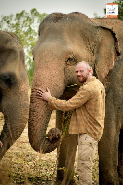 Pattaya: Elephant Jungle Sanctuary Half-Day Tour with Meal - Extra camp activities you might do (paper-making is one)