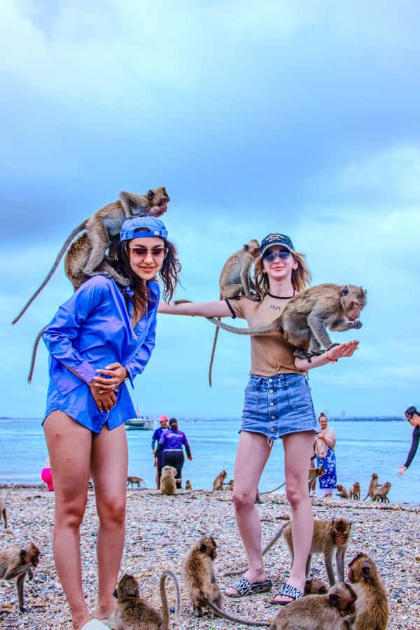 Pattaya: Exclusive 3-Island Catamaran Tour with Buffet Lunch - Key highlights worth planning for