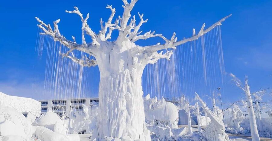 Pattaya: Frost Magical Ice of Siam Entry Ticket - Key things to know before you go