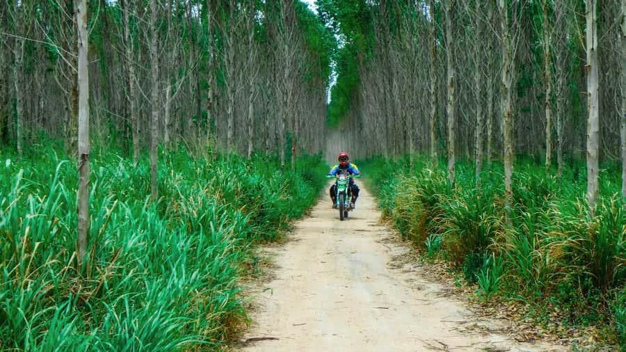Pattaya: Half-Day Guided Enduro Tour with Meal - Skill Levels and How the Route Matches Your Ability