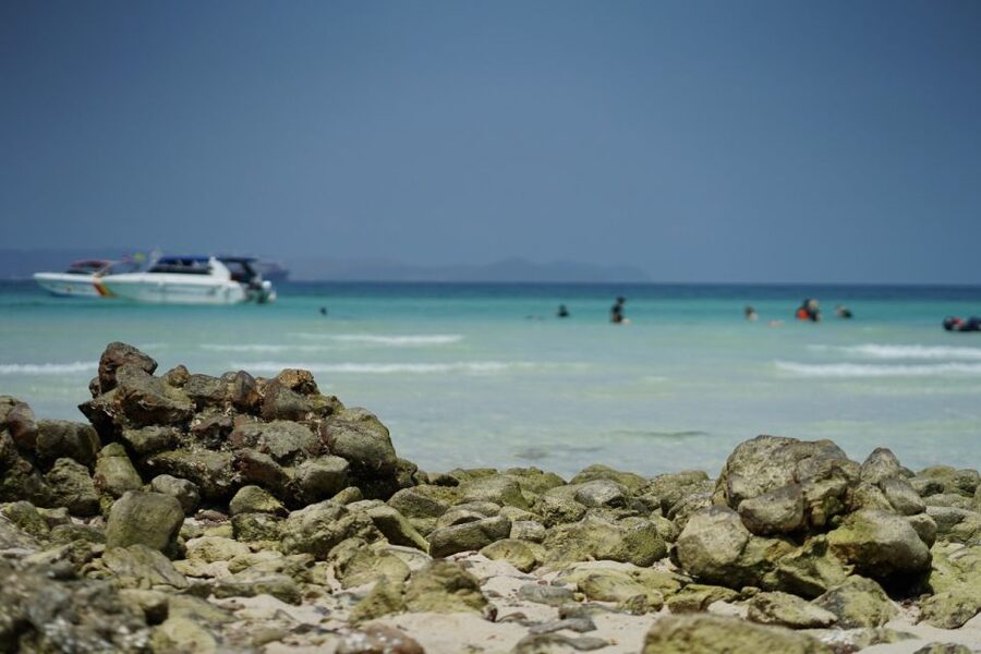 Pattaya Island Trip With Drone Photo and lunch,Nature Beach - Lunch by the Sea: Chicken Steak Midday Fuel