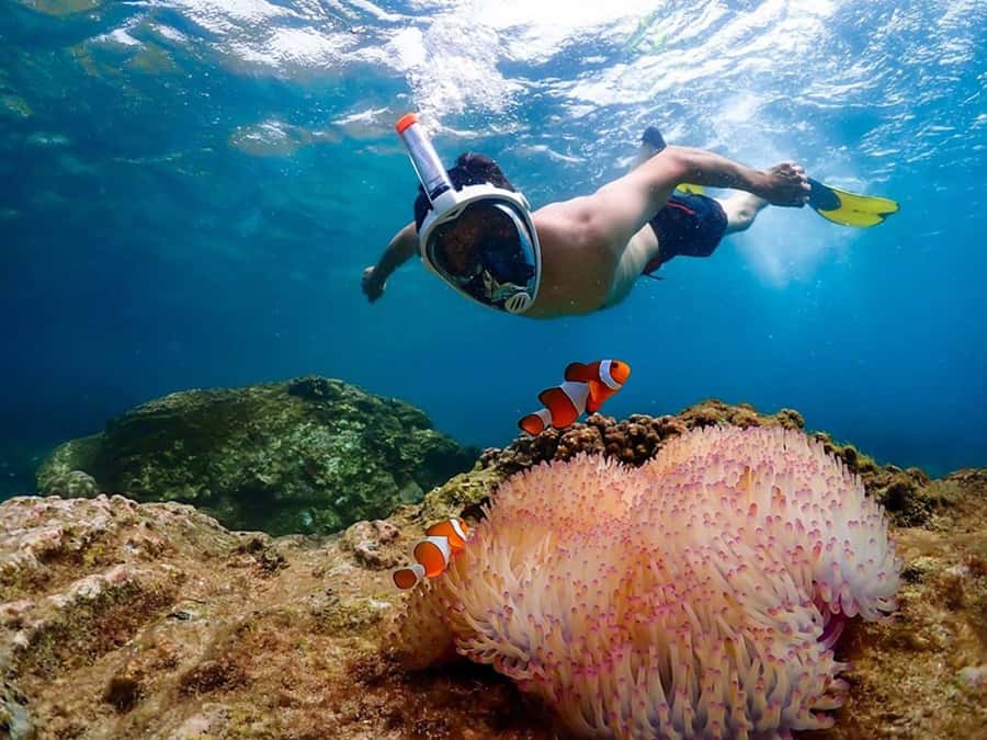 Pattaya: Nemo Island Experience with Drone Photos and Lunch - Key highlights you will actually feel on the day
