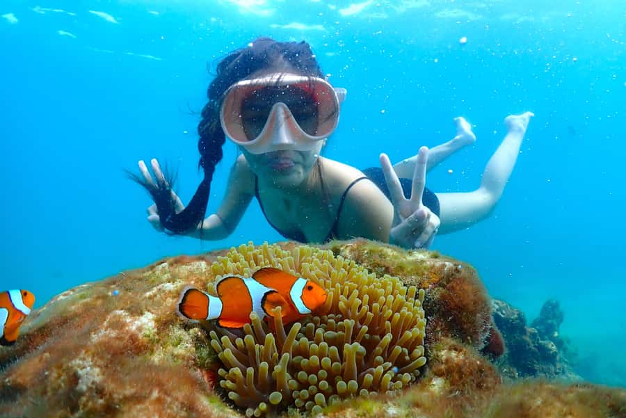 Pattaya: Private Speedboat Nemo Island with Snorkel & BBQ - Snorkeling with Nemo and spotting corals the easy way