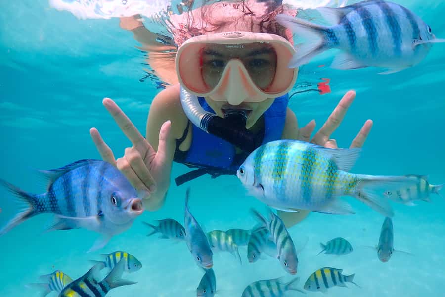Pattaya: Private Speedboat Nemo Island with Snorkel & BBQ - What to bring, and who should skip this trip