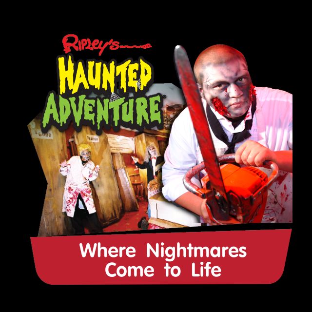 Pattaya: Ripley’s Believe It or Not! Entry Ticket - Ticket Value and Timing: What $11 Usually Means Here