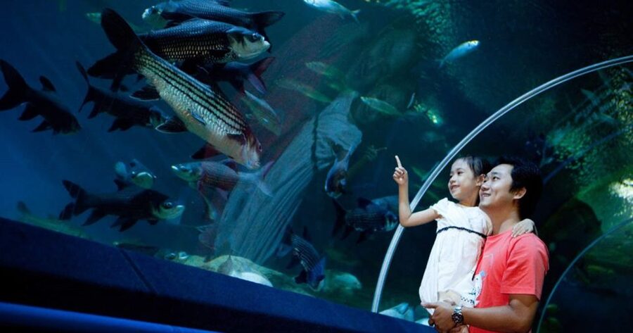 Pattaya: Underwater World Pattaya Aquarium Admission Ticket - Entering Underwater World Pattaya: What Your Day Looks Like