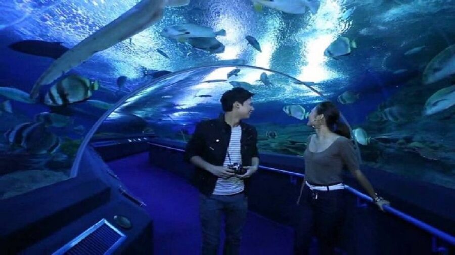 Pattaya: Underwater World Pattaya Aquarium Admission Ticket - Touch Pool Zone: The Interactive Moment (and the mindset to have)