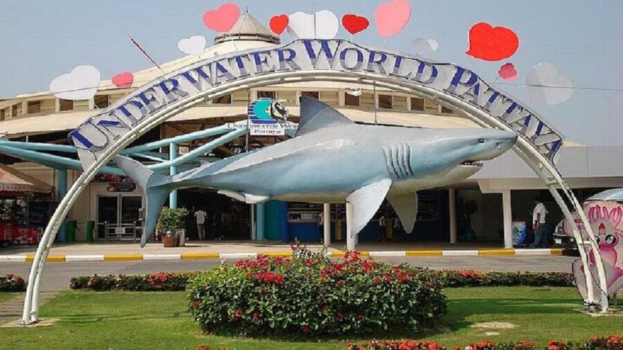Pattaya: Underwater World Pattaya Aquarium Admission Ticket - Price and Value: Is $8 Worth It?