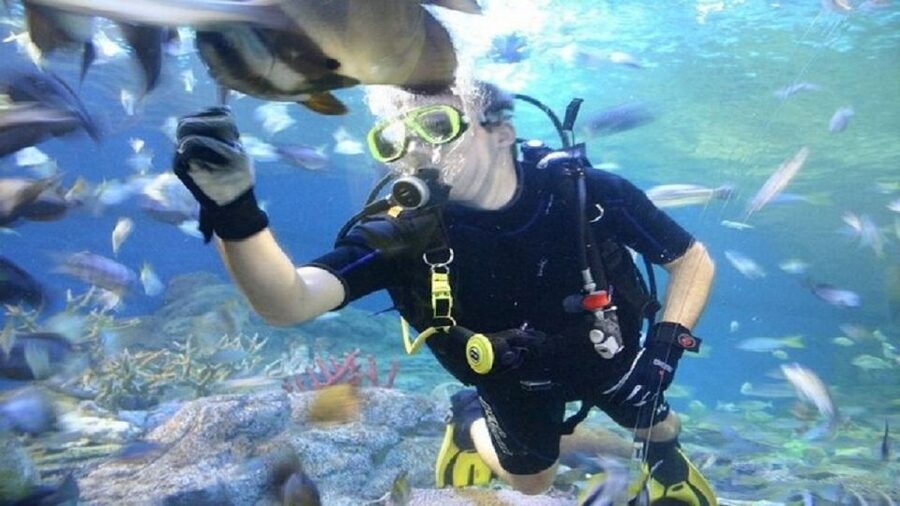 Pattaya: Underwater World Pattaya Aquarium Admission Ticket - What to Bring, and Where You Check In