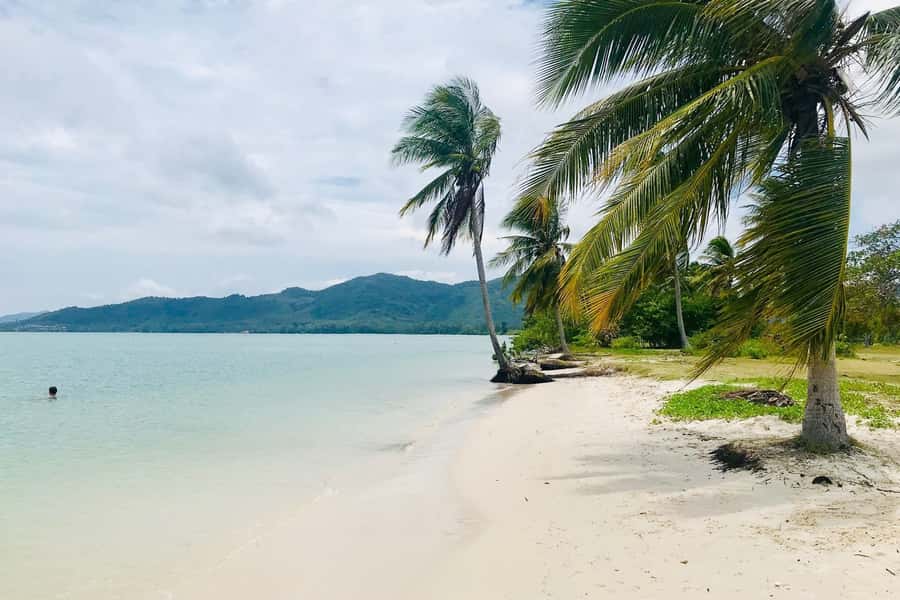 Phang Nga Bay: Early Bird James Bond & Beyond Tour - Koh Phanak caves and inner lagoon: the wildlife moment you shouldn’t rush