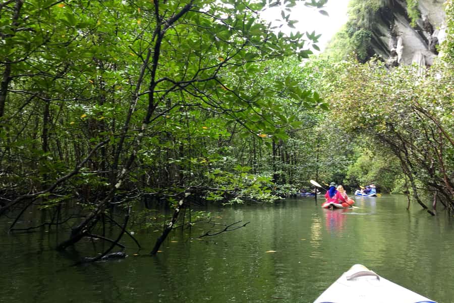 Phang Nga Bay: Early Bird James Bond & Beyond Tour - Koh Panyee lunch: tasty food with a real village setting