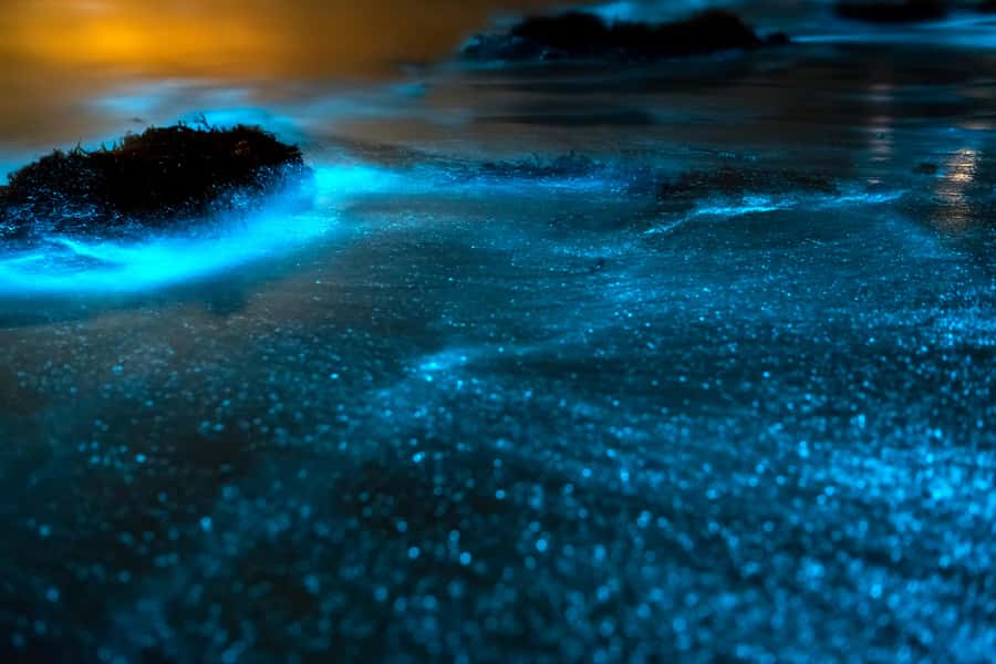 Phi Phi & 4 Islands Sunset tour + Bioluminescent Planktons - Key things I think you’ll care about