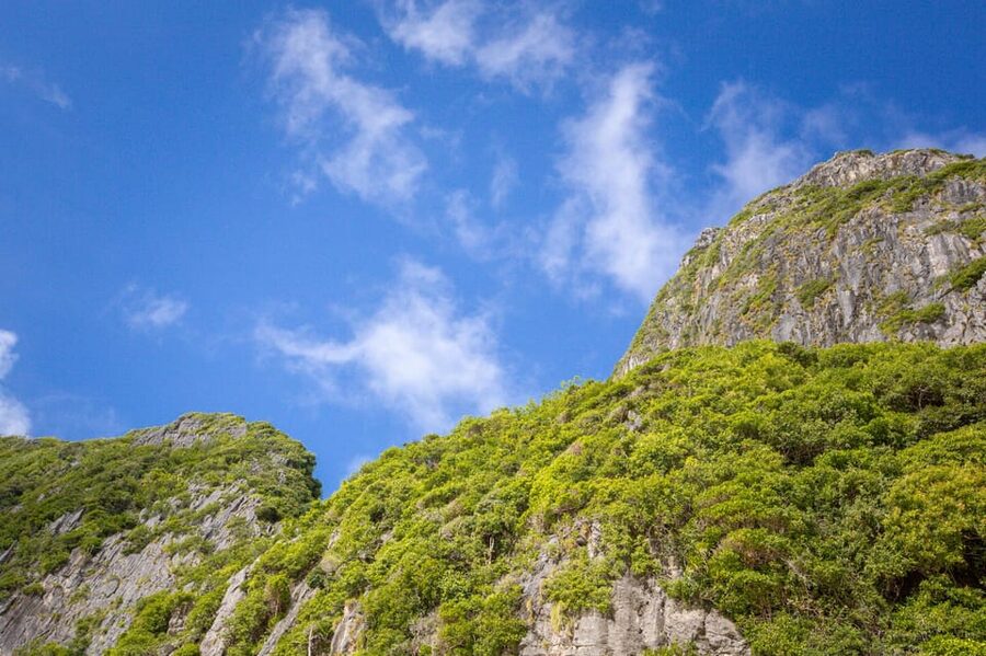 Phi Phi: 7 Island Day Tour by Longtail Boat - Pileh Lagoon Snorkel Time: Clear Water and Limestone Walls