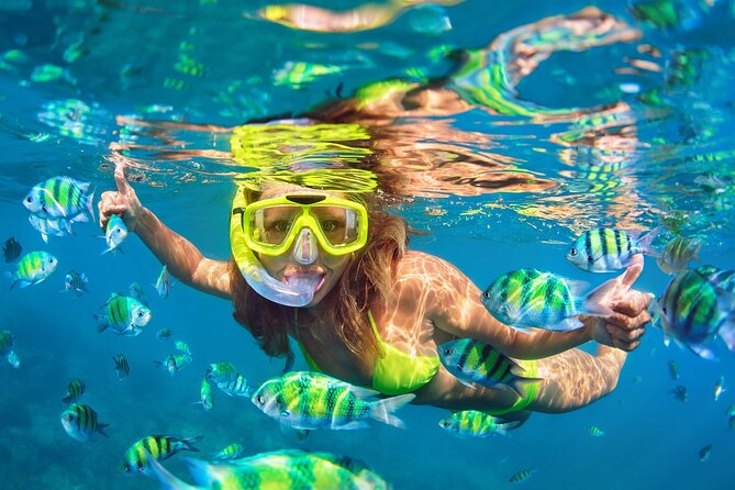 Phi Phi and Khai Islands Snorkeling Tour with Lunch by Speedboat - Getting to the boat: the Royal Phuket Marina start