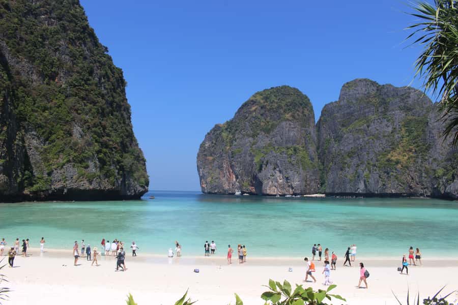 Phi Phi & Bamboo Islands: Premium Day Trip w/ Seaview Lunch - Phi Phi Don lunch at a 4.5-star resort, then Viking Cave