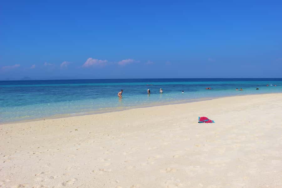 Phi Phi & Bamboo Islands: Premium Day Trip w/ Seaview Lunch - Maya Bay timing, crowds, and what to expect