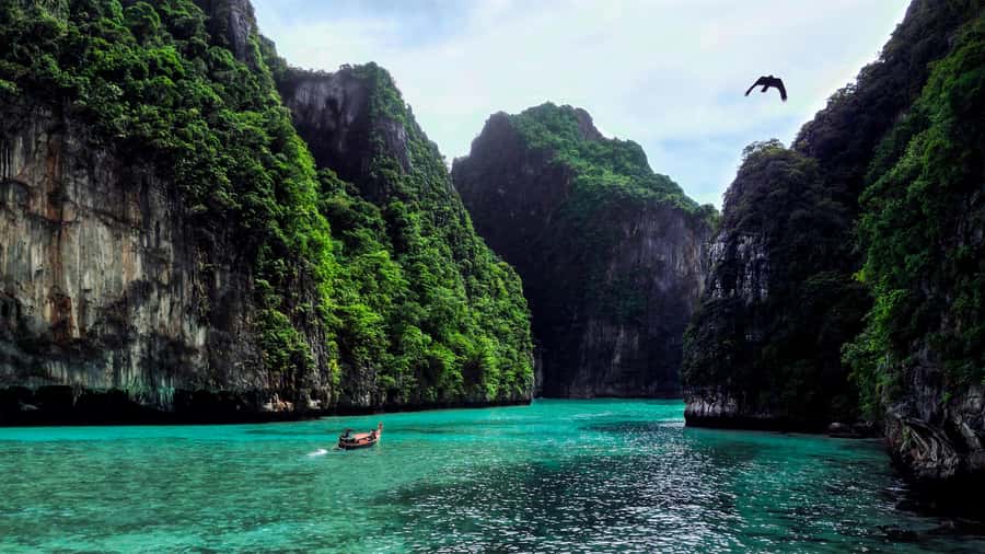 Phi Phi: Exclusive Half Day Longtail Boat to Maya Bay - Key points before you go