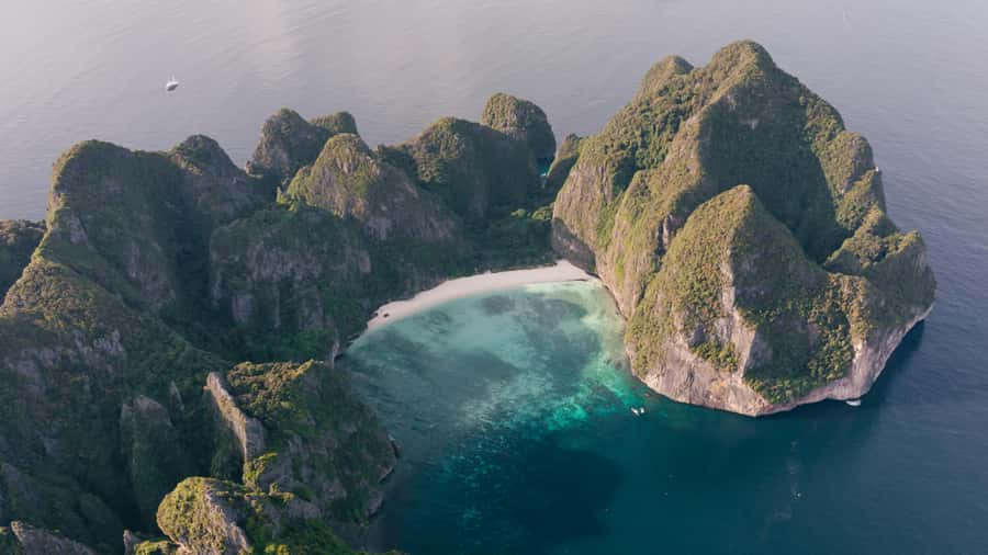 Phi Phi: Exclusive Half Day Longtail Boat to Maya Bay - Shark Point snorkeling: blacktip reef sharks, strong payoff, some risk management