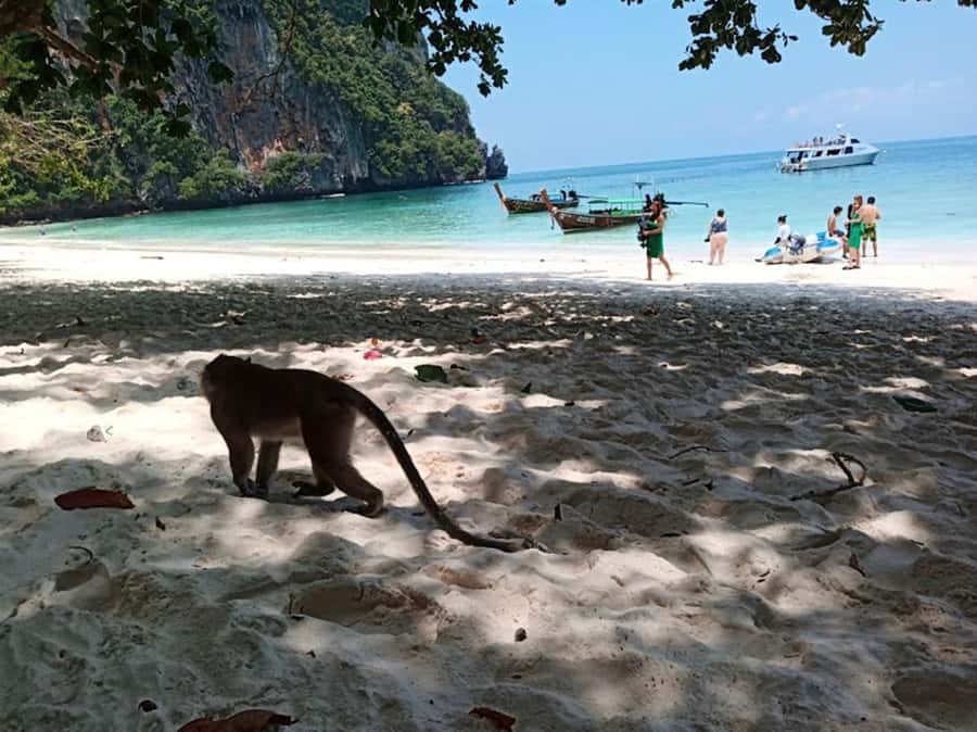 Phi Phi Islands: 2 Days, 1 Night Trip with Activities - Key Points That Make This Trip Worth Considering