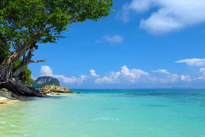 Phi Phi & Maya Bay Speedboat: All-Day Food & Choice of 3 Marinas - Stop by stop: Maya Bay, Phi Phi Don, Monkey Beach, and the rest