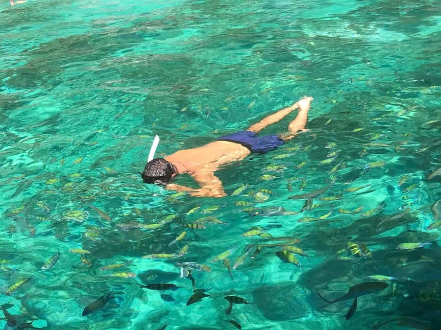 Phi Phi: Private Maya Bay Longtail Boat Tour with Snorkeling - Maya Bay: the big name, and where the tour pacing matters