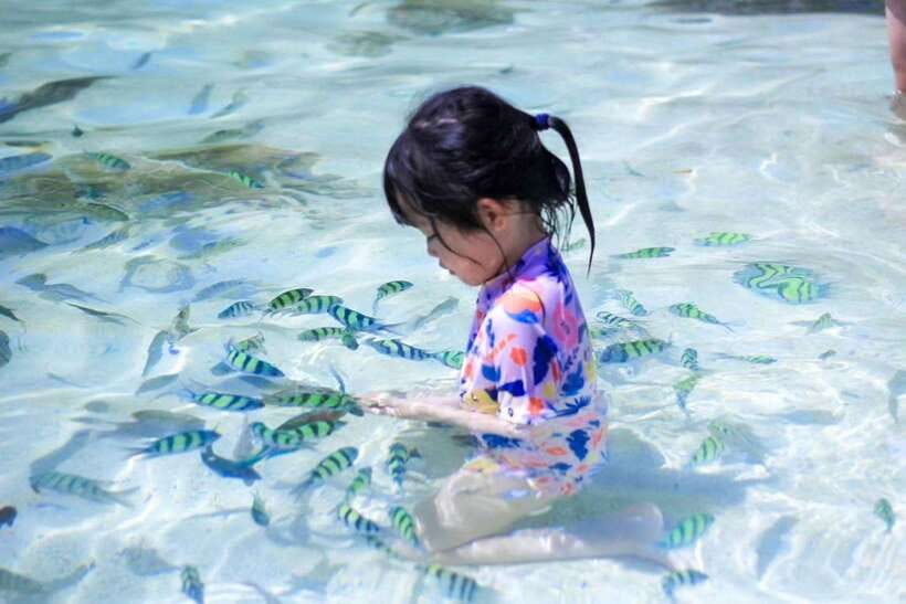 Phuket: 3 Khai Islands Relax & Snorkeling Half/Full Day Tour - Stop 2: Khai Nui Island, Coral Reefs, and the Weather Switch