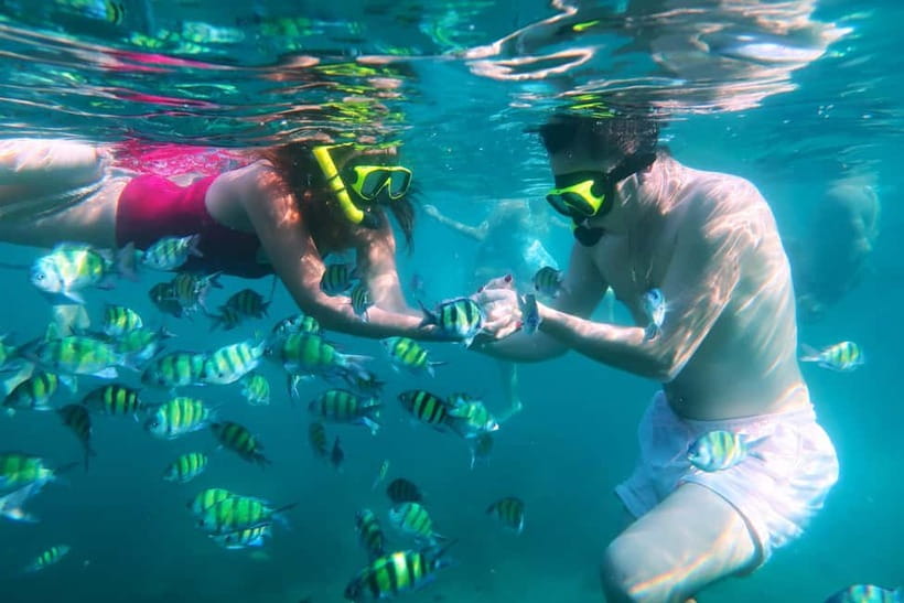 Phuket: 3 Khai Islands Speedboat Tour- Snorkeling & Relaxing - Best season for clear water, and what marine life is realistic