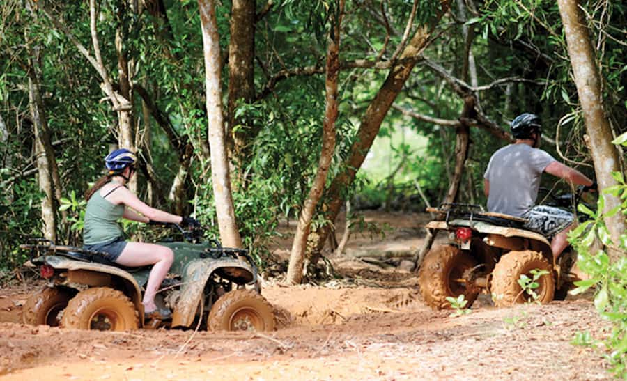 Phuket: ATV Mangrove Jungle & Hidden Beach Tour - Automatic ATVs and rugged tracks, what the drive feels like