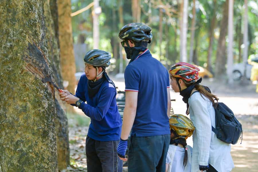 Phuket: ATV Mangrove Jungle & Hidden Beach Tour - Jungle stops and plantation views you will actually remember