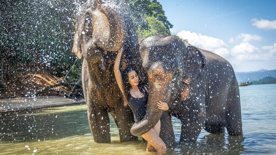 Phuket: ATV Ride with Khai Islands Half Day by Speedboat - The “Elephants” Confusion: How to Avoid a Letdown
