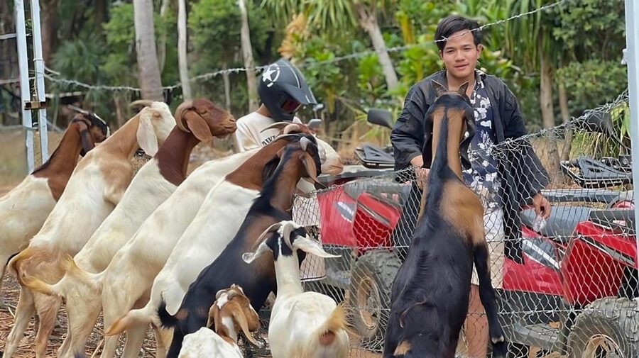 Phuket: ATV Ride with Secret Sea Viewpoints and Swing - The ATV Flow: Helmet, Training Track, Then Jungle Riding