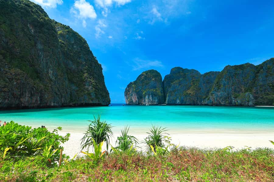 Phuket: Bamboo Island and Phi Phi Islands by Fast Catamaran - What you’re really paying for at $123 per person