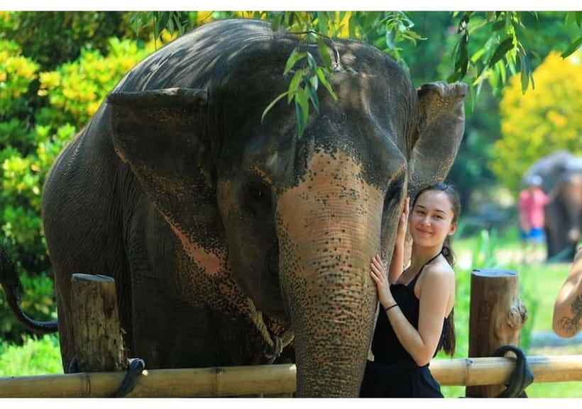 Phuket: Bamboo Rafting & ATV Ride (Optional) - Tonsai Waterfall: The Day’s Payoff Stop with Walking and Views
